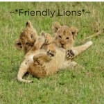 ~Friendly Lions~
