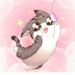 Cat lnc.