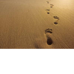 moving forward from standing still
