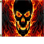 XxFire ChaosxX