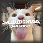 skibidiniga