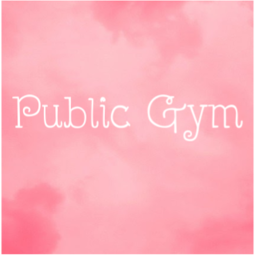 Vcso Girl Gymnastics • Public Gym