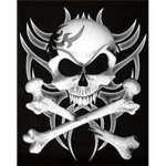 steves warriors