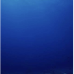 00544