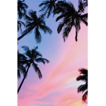 •.coconut.•