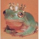 The frog Army~