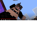 Minceraft zoo zoo