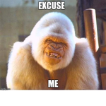 Monkey Farted