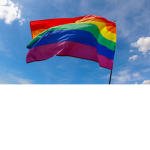 The rainbow project