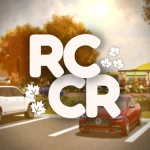 RCCR | Rensselaer County Community RP Group Thumbnail