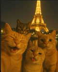 Candys.chat