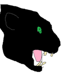 The Panther Gangg