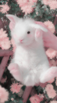 robuxfriends<3