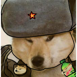 DOGE AND CAT HANGOUT