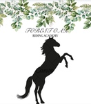 Forest oak riding academy