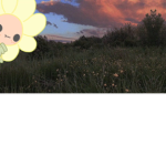 The!Flower!GROUP