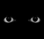 StaticTeam