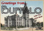【Buffalo's Area】