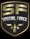 Special Force II