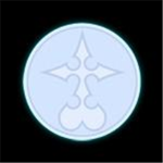 Organization  XIII