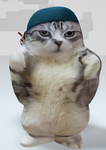 猫好きのための猫ミームグループ
