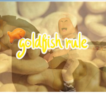 goldfish rule
