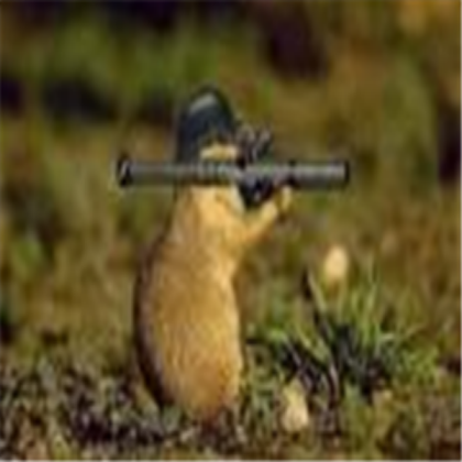 Funny picture Roblox decal