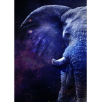 Elite Elephants!