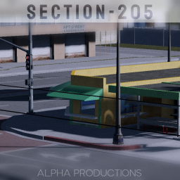 SECTION-205