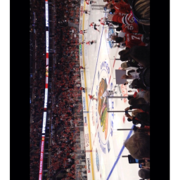 NHL fan fun group's Place Number: 0