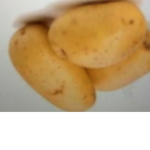 Potato Power Squad For Life :D :D :D :D :D