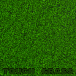 Touch Grass