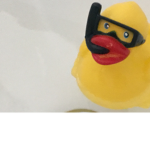 MR DUCKIE squad