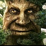 YourLocalTree