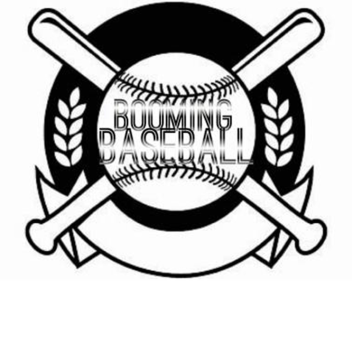 BOOMING BASEBALL W.I.P