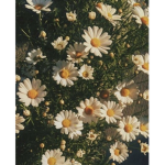 |-L O V E L Y-|