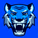 white blue tigers