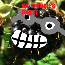Mr. Bramble's Happy Forest!