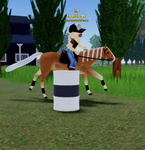 |Sagebrush Sport Horses|