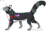 warriorcatz fanz