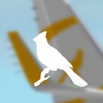 [AR] | Aeiral Rise™