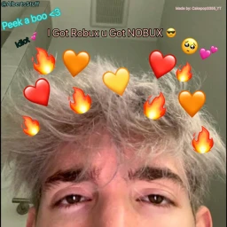 A l b e r t icon