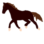 Pony land creates