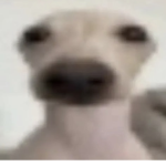 BaconEpicGang