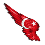 ahm ailesi