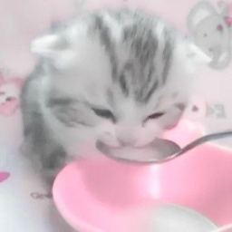 ୨ৎ