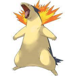 Typhlosion group