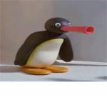 pingu fan club