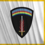 Allied Forces Organization