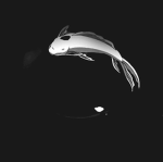 Eiko | XVII